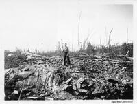 Prospectors 