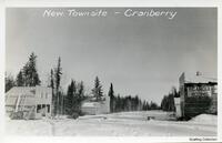 Cranberry Portage