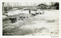 Dog Team at The Pas