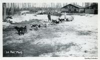 Dog Team at The Pas