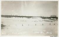 Dog Derby at The Pas