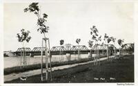 CNR Bridge at The Pas