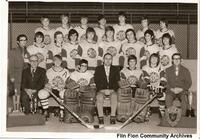Minor Hockey