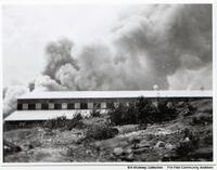 Forest Fire