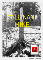 Callinan Mine