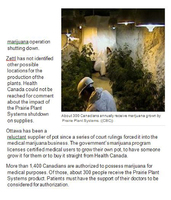 Article on Marijuana growing in Flin Flon Mine Page Two