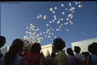 Flin Flon Trout Festival
