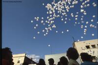 Flin Flon Trout Festival