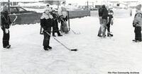 Bunk Hockey Birchview