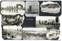 Various Pictures