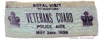 Police Aide Arm Band