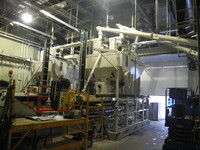 Protorite Plant