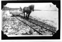Horse drawn muck wagon