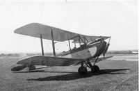 Fox Gypsy Moth