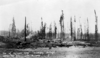 Site Of Engineer’s Camp After The Fire 