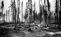Engineers Camp Cranberry Portage 