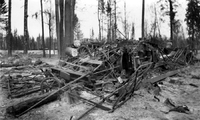 The Remains Of A Boxcar