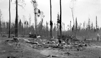 Household Items and Tools Destroyed 