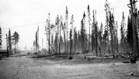 Aftermath Of Cranberry Portage Fire