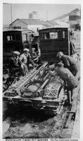 Building Linn Tractor At Frazerdale May 1931