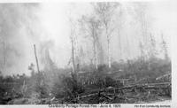 Cranberry Portage Fire