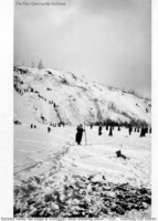Second Valley Ski Slope & Toboggan Slide