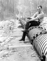 Unidentified man on woodstave pipline Flin Flon C1930 