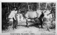 Horse in Camp no location given 