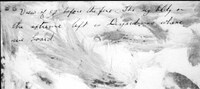 Notes on the reserve side of photo 1000238