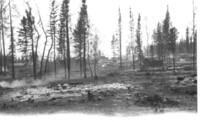 Cranberry Portage Fire 1929 