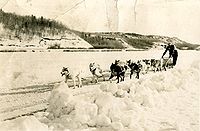 Dog_Sled_Race_Flin_Flon_Manitoba_Feb 03 1954