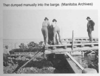 The Ore Was Dumped From The Buggies Into Barges 