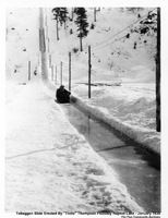 Toboggan Run