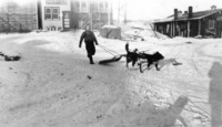 Henry Budlong and his dogs at the 1932 Dog Team Race i