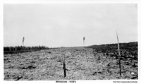 Willowvale 1930's