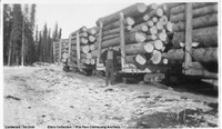 Cord Wood On Sleighs No Date ( Likely 1928 ) Postcard