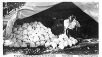 Bringing Out Samples Of High Grade Flux- ( C 1928/29)