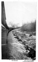 Train of Box Cars- Thought to be The Pas To Cranberry Portage C 1928/29
