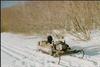 Old Snowmobile at Beaver Lake