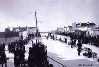 The Pas Dog Derby 1919