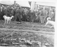 The arrest of 'Phillips'