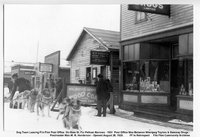 Dog Team Leaving Flin Flon Post Office On Main Street ....