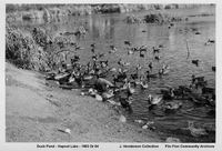 Duck Pond - Hapnot Lake- 1963 or 64