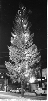Christmas Tree 1960's