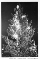 Christmas Tree 1960's