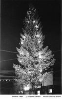 Christmas Tree 1960's