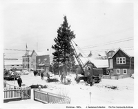 Christmas Tree 1960's