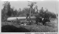 Portaging With Oxen