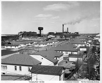 "Company Row" and Plant 