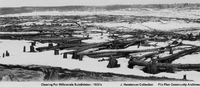Clearing for Willowvale subdivision - 1930's